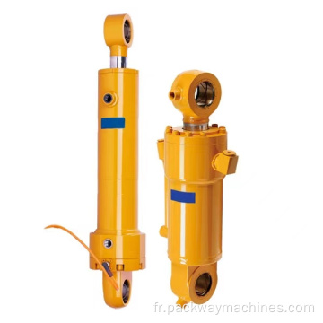 Cylindre hydraulique d&#39;ingénierie de la série DGR-HSG ※ 01